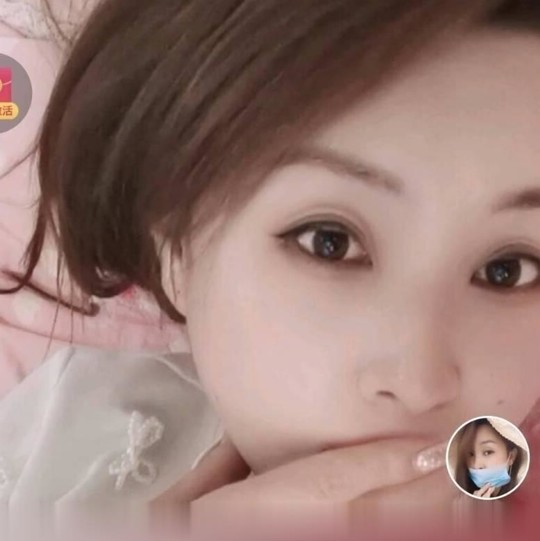 北辰小燕子
